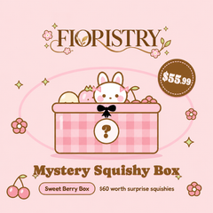 Mystery Squishy Box