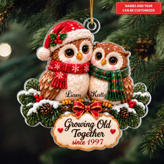 Christmas Owl Couple - Personalized Custom Shape Mica Ornament - Christmas Gift For Family