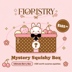 Mystery Squishy Box