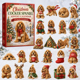 Christmas Advent Calendar Collection🎄🎁