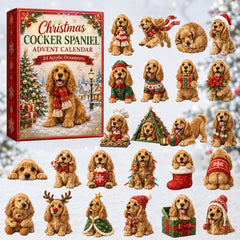 Christmas Advent Calendar Collection🎄🎁