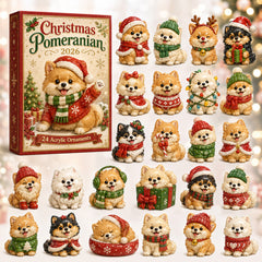 Christmas Advent Calendar Collection🎄🎁