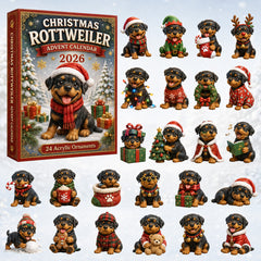 Christmas Advent Calendar Collection🎄🎁
