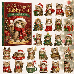 Christmas Advent Calendar Collection🎄🎁