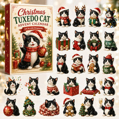 Christmas Advent Calendar Collection🎄🎁