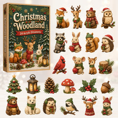 Christmas Advent Calendar Collection🎄🎁