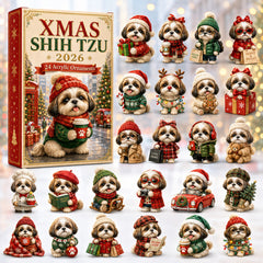Christmas Advent Calendar Collection🎄🎁