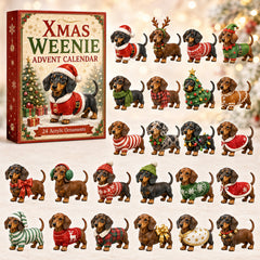 Christmas Advent Calendar Collection🎄🎁