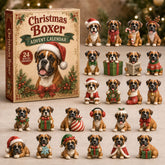 Christmas Advent Calendar Collection🎄🎁
