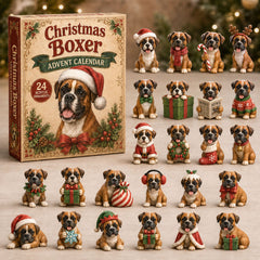 Christmas Advent Calendar Collection🎄🎁
