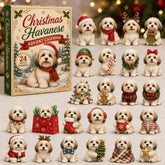 Christmas Advent Calendar Collection🎄🎁