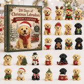 Christmas Advent Calendar Collection🎄🎁