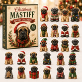Christmas Advent Calendar Collection🎄🎁
