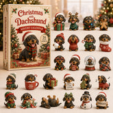 Christmas Advent Calendar Collection🎄🎁