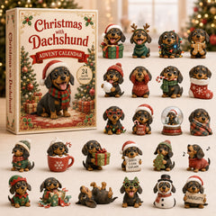 Christmas Advent Calendar Collection🎄🎁