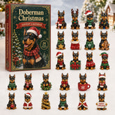 Christmas Advent Calendar Collection🎄🎁