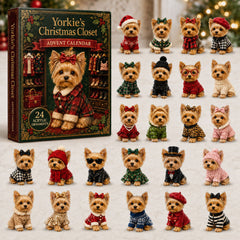 Christmas Advent Calendar Collection🎄🎁