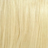 13x6 HD lace front wig in 613