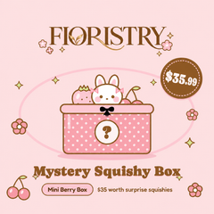 Mystery Squishy Box
