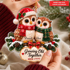 Christmas Owl Couple - Personalized Custom Shape Mica Ornament - Christmas Gift For Family