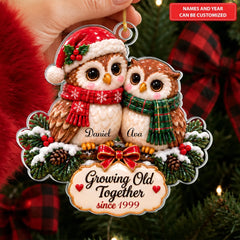 Christmas Owl Couple - Personalized Custom Shape Mica Ornament - Christmas Gift For Family