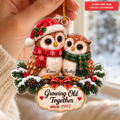 Christmas Owl Couple - Personalized Custom Shape Mica Ornament - Christmas Gift For Family