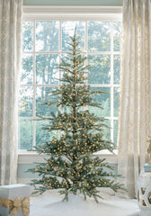 7' King Noble Fir™ Artificial Christmas Tree with 2000 Lux LED Lights