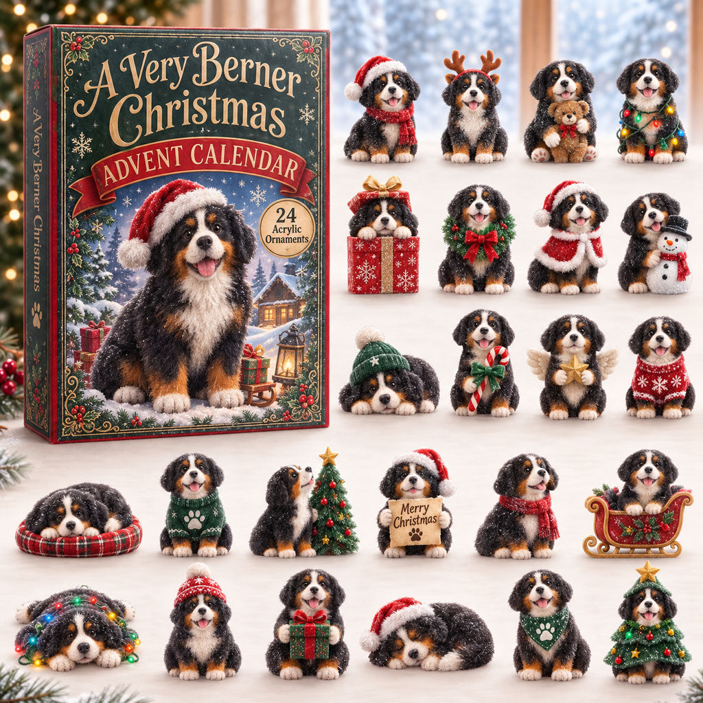 Christmas Advent Calendar Collection🎄🎁