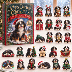 Christmas Advent Calendar Collection🎄🎁