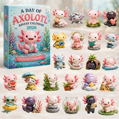 Christmas Advent Calendar Collection🎄🎁
