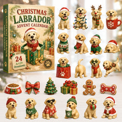 Christmas Advent Calendar Collection🎄🎁