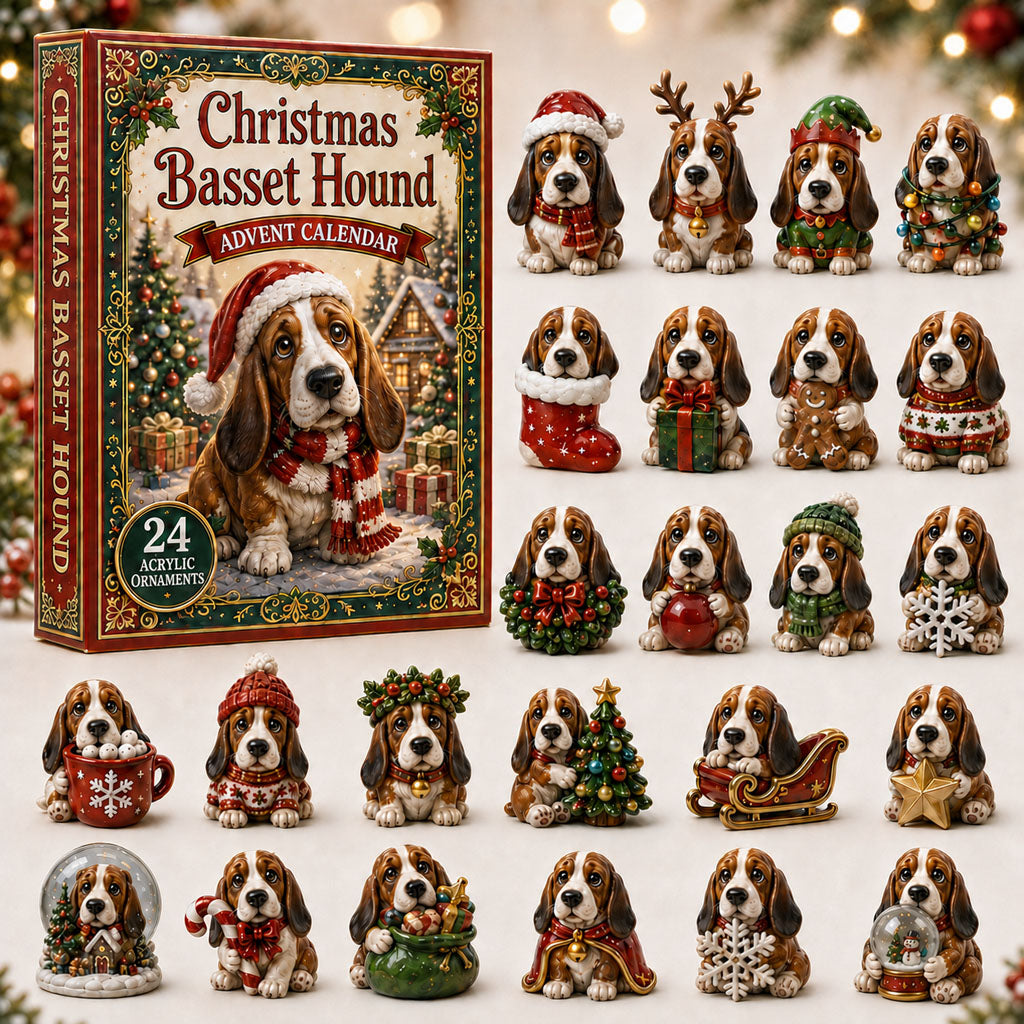 Christmas Advent Calendar Collection🎄🎁