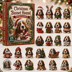 Christmas Advent Calendar Collection🎄🎁