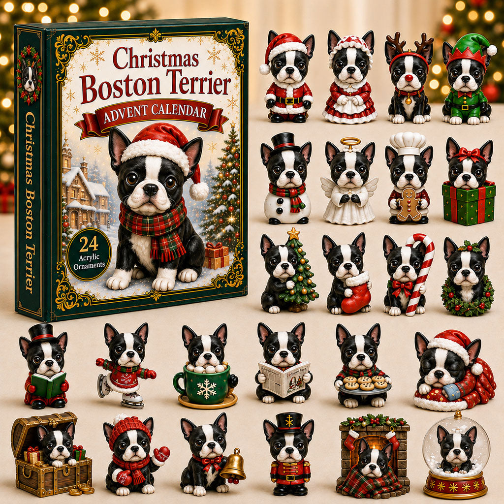 Christmas Advent Calendar Collection🎄🎁