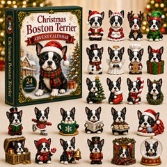 Christmas Advent Calendar Collection🎄🎁