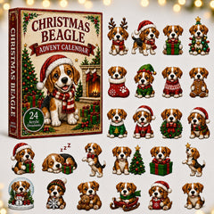 Christmas Advent Calendar Collection🎄🎁