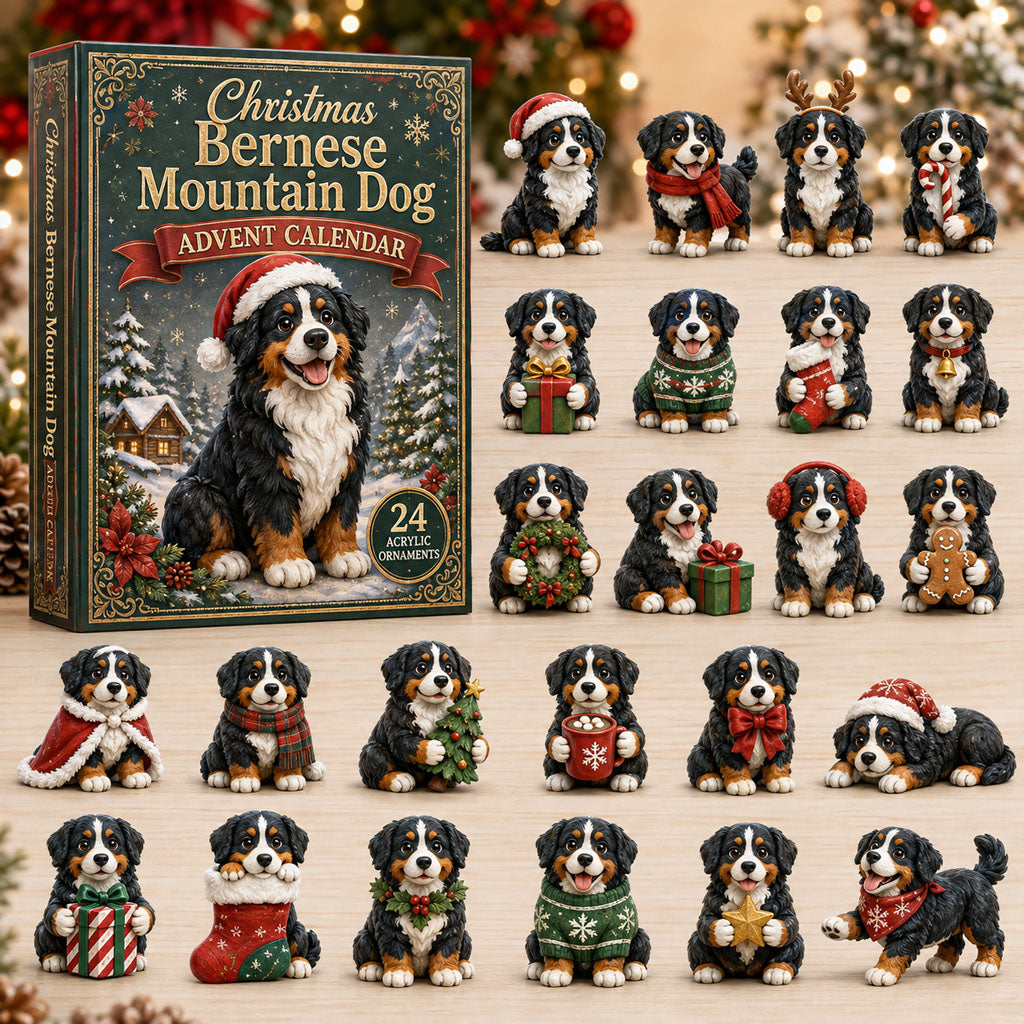 Christmas Advent Calendar Collection🎄🎁