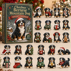 Christmas Advent Calendar Collection🎄🎁