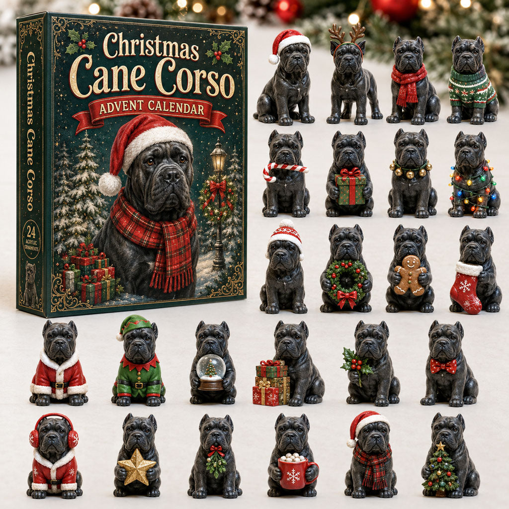 Christmas Advent Calendar Collection🎄🎁
