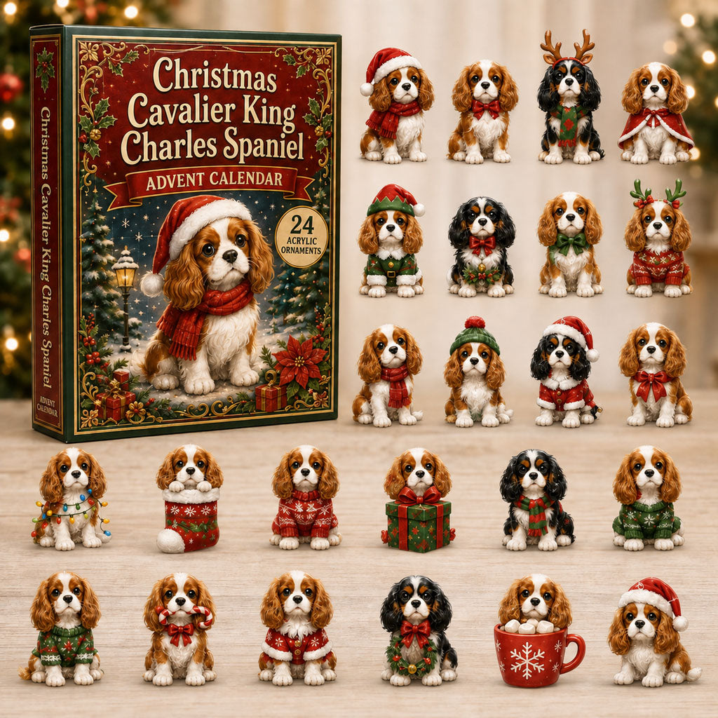 Christmas Advent Calendar Collection🎄🎁