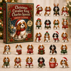 Christmas Advent Calendar Collection🎄🎁