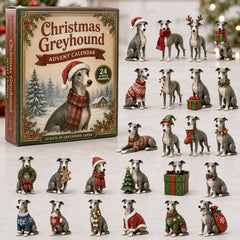 Christmas Advent Calendar Collection🎄🎁