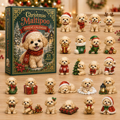 Christmas Advent Calendar Collection🎄🎁