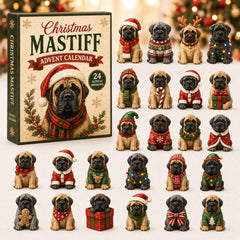 Christmas Advent Calendar Collection🎄🎁