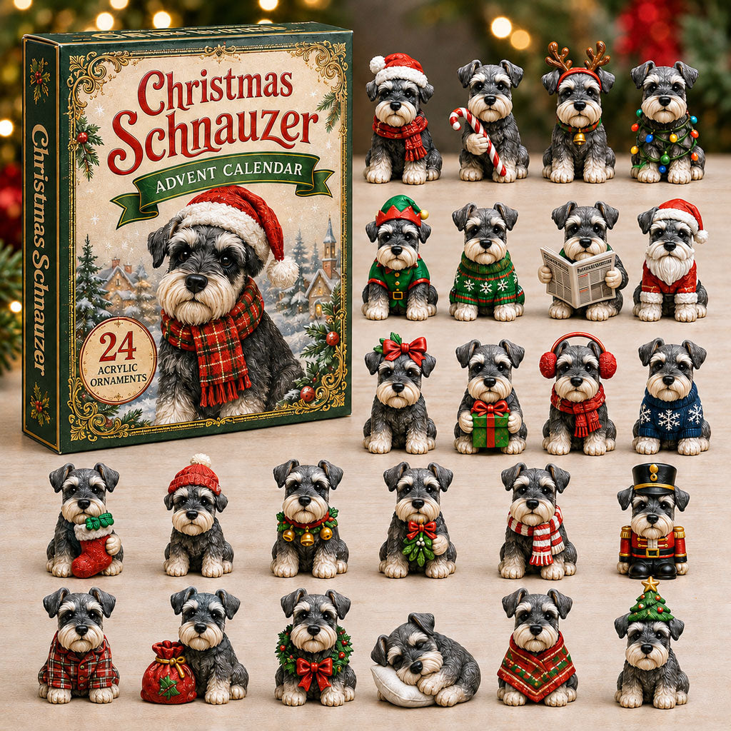 Christmas Advent Calendar Collection🎄🎁
