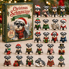Christmas Advent Calendar Collection🎄🎁