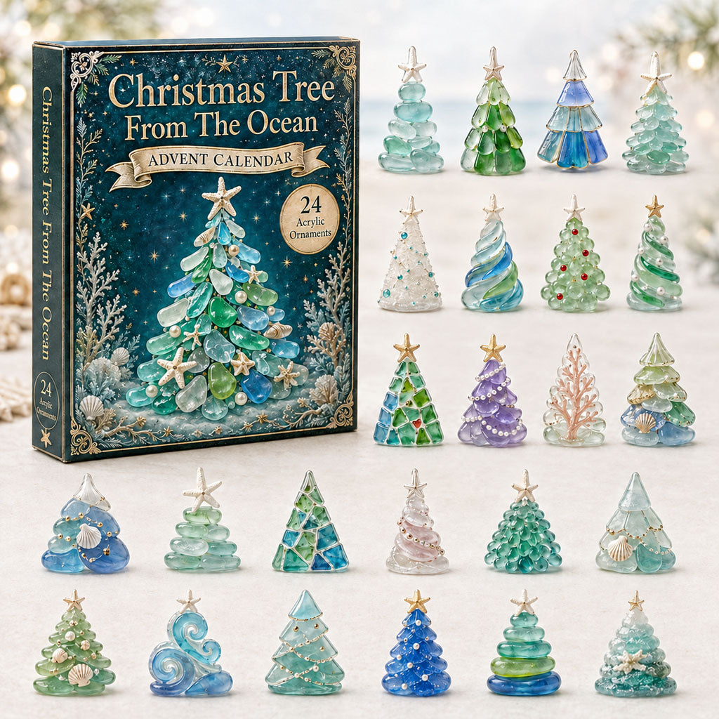 Christmas Advent Calendar Collection🎄🎁