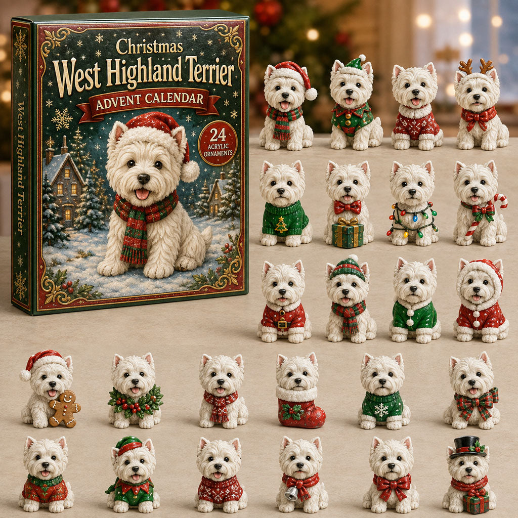 Christmas Advent Calendar Collection🎄🎁