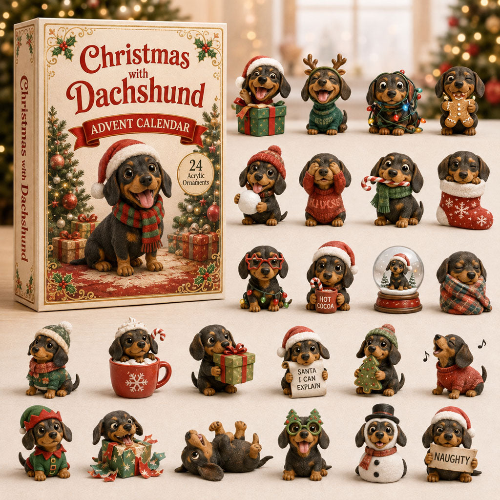 Christmas Advent Calendar Collection🎄🎁