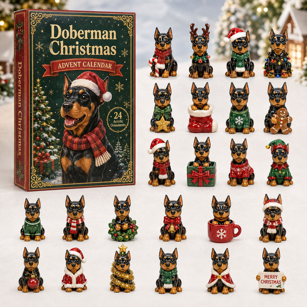 Christmas Advent Calendar Collection🎄🎁